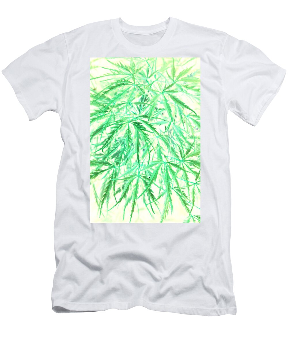 Jamie Lynn Gabrich T-Shirt featuring the photograph Green Splender by JamieLynn Warber