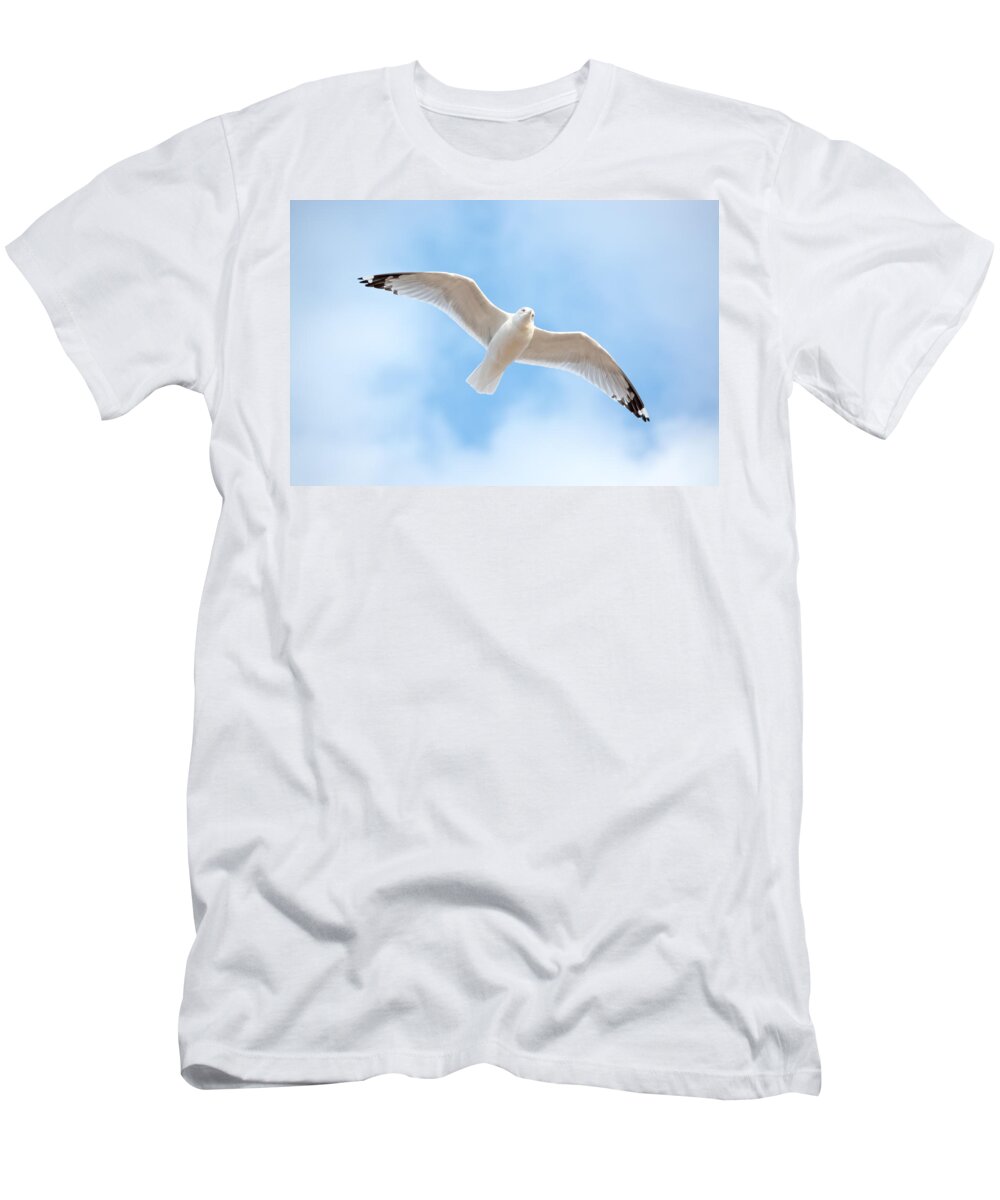 Gull T-Shirt featuring the photograph Gull in the Clouds by Holden The Moment