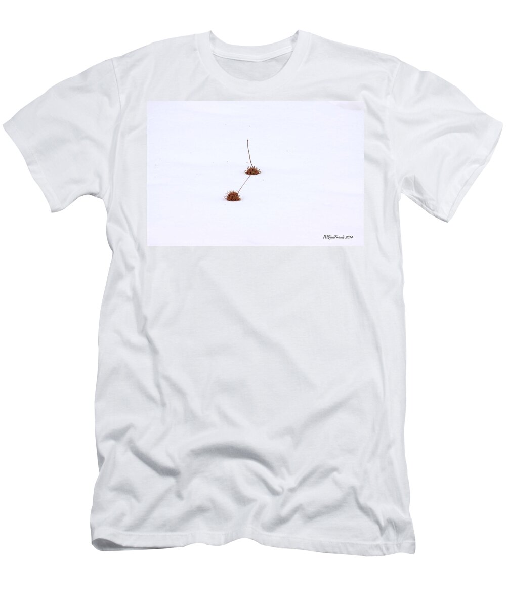 Gumballs In Snow T-Shirt featuring the photograph Gumballs in Snow by PJQandFriends Photography