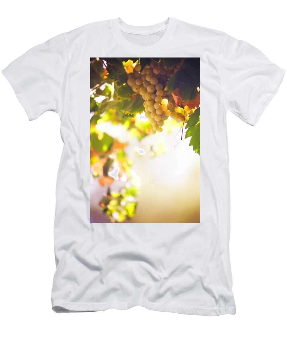 Grape T-Shirt featuring the photograph Harvest Time. Sunny grapes I by Jenny Rainbow