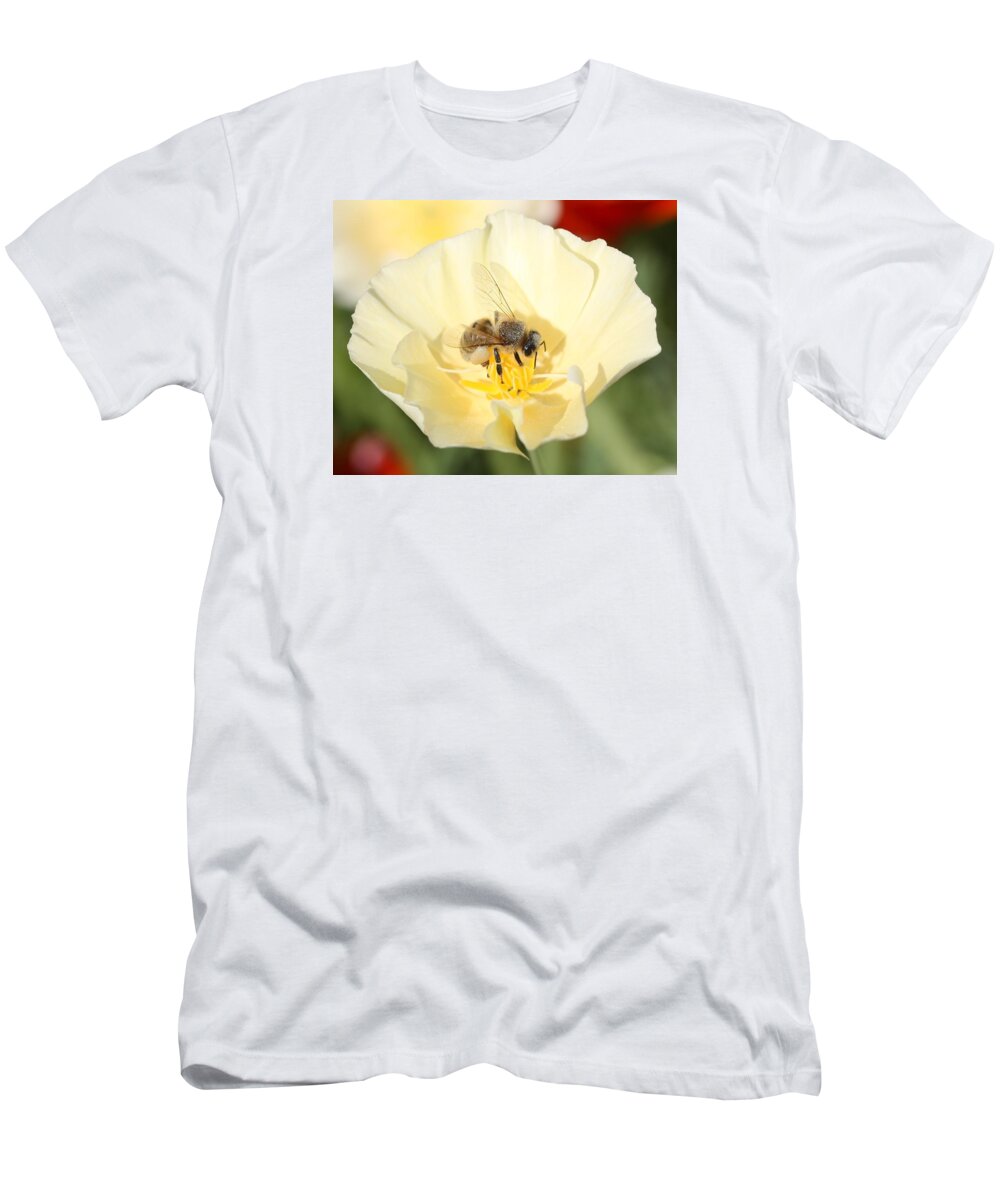 Honeybee T-Shirt featuring the photograph Honeybee on Cream Poppy by Lucinda VanVleck