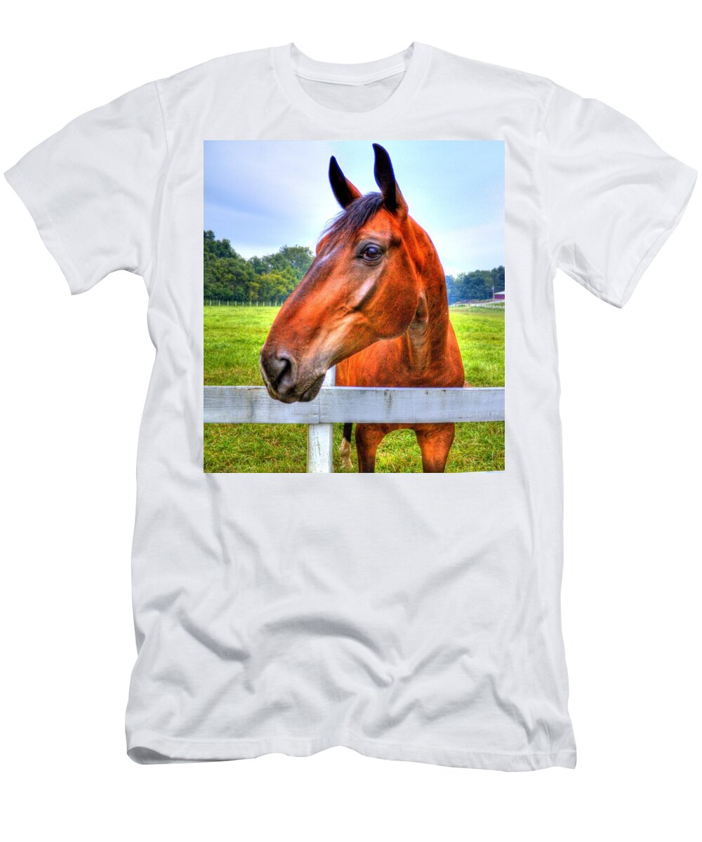 Horse T-Shirt featuring the photograph Horse Closeup by Jonny D