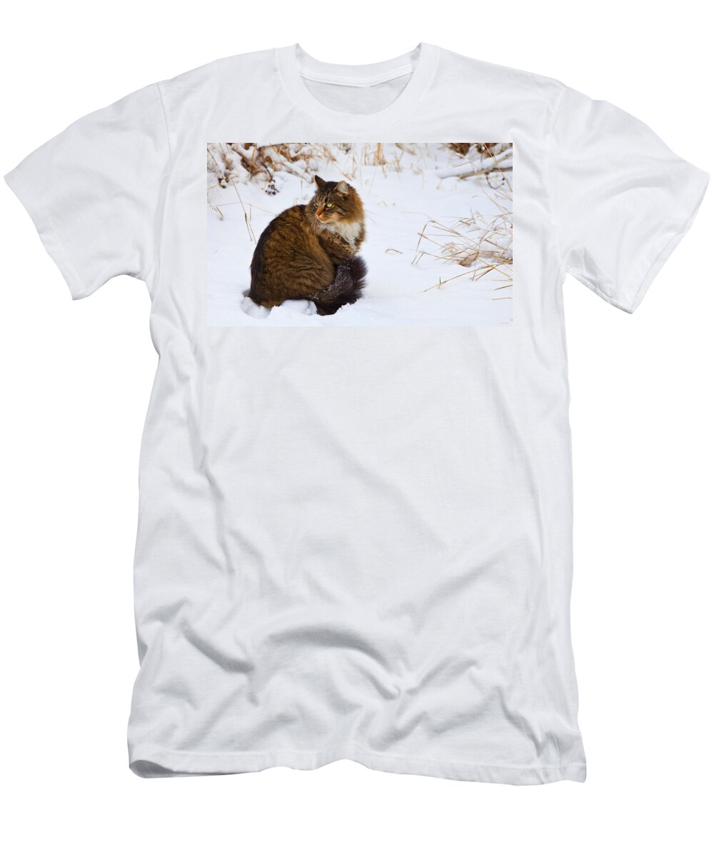 Cat T-Shirt featuring the photograph Hunter by Theresa Tahara