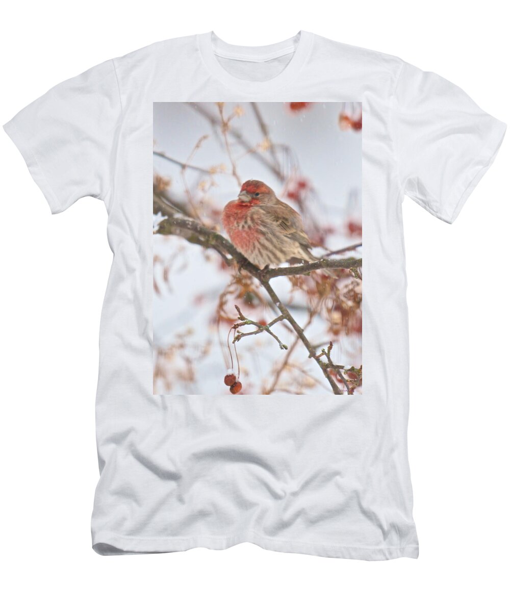 Bird T-Shirt featuring the photograph I Cannot Believe It Is So Cold by Kristin Hatt