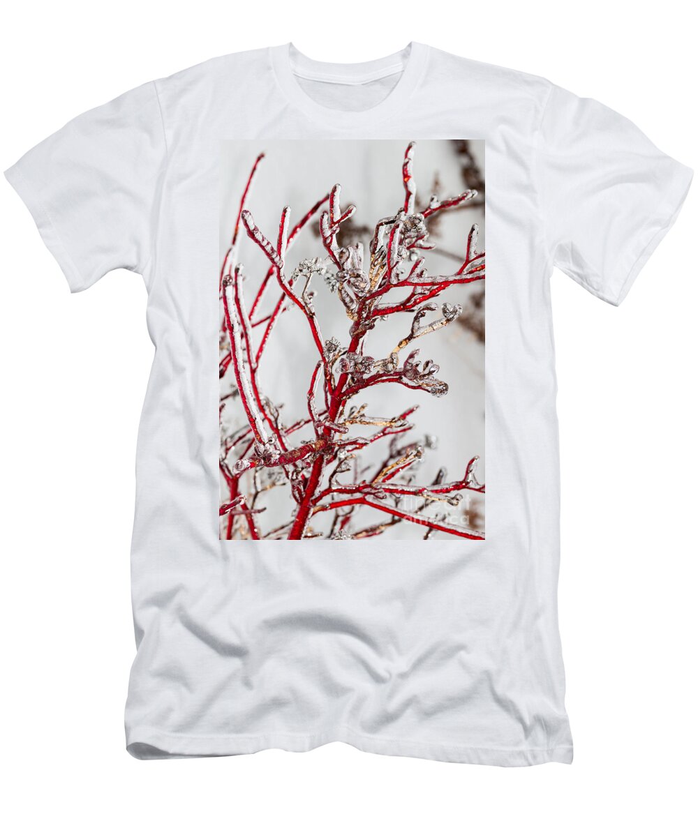 Red T-Shirt featuring the photograph Icy red dogwood by Les Palenik