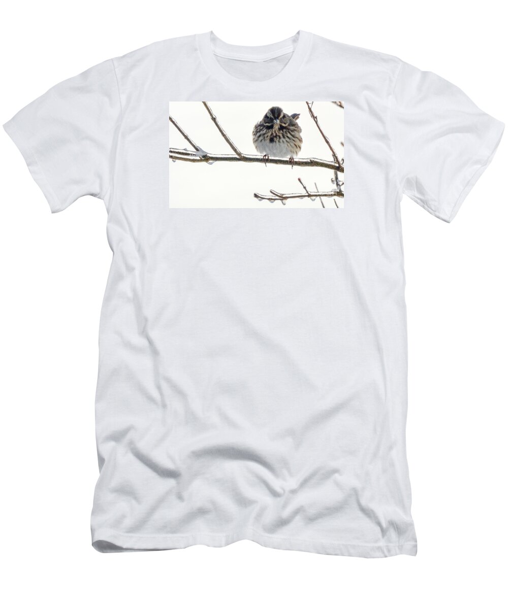 Sparrow T-Shirt featuring the photograph Icy Sparrow by Lynellen Nielsen