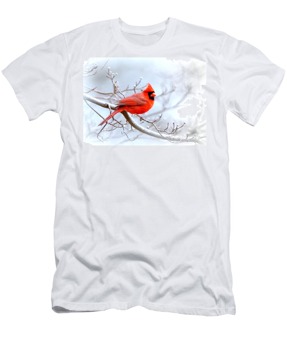 Cardinal T-Shirt featuring the photograph IMG 2259-22 - Northern Cardinal by Travis Truelove