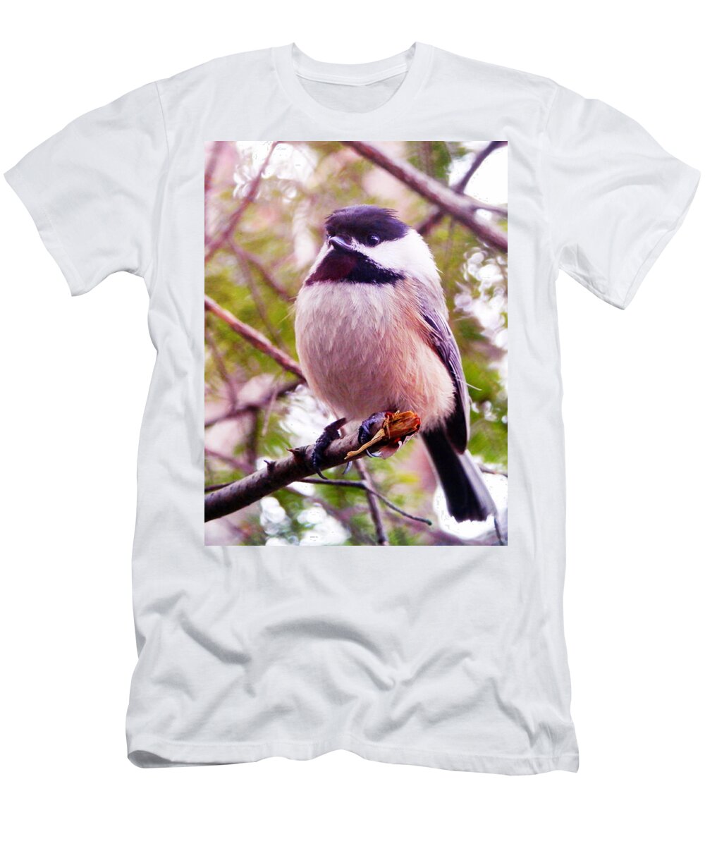 Black Capped Chickadee T-Shirt featuring the photograph In The Morning Light by Zinvolle Art