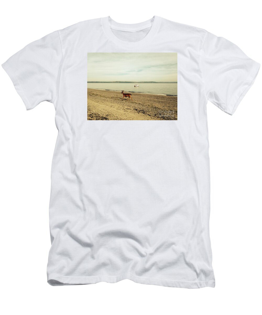 Deer T-Shirt featuring the photograph Island Deer by LeLa Becker