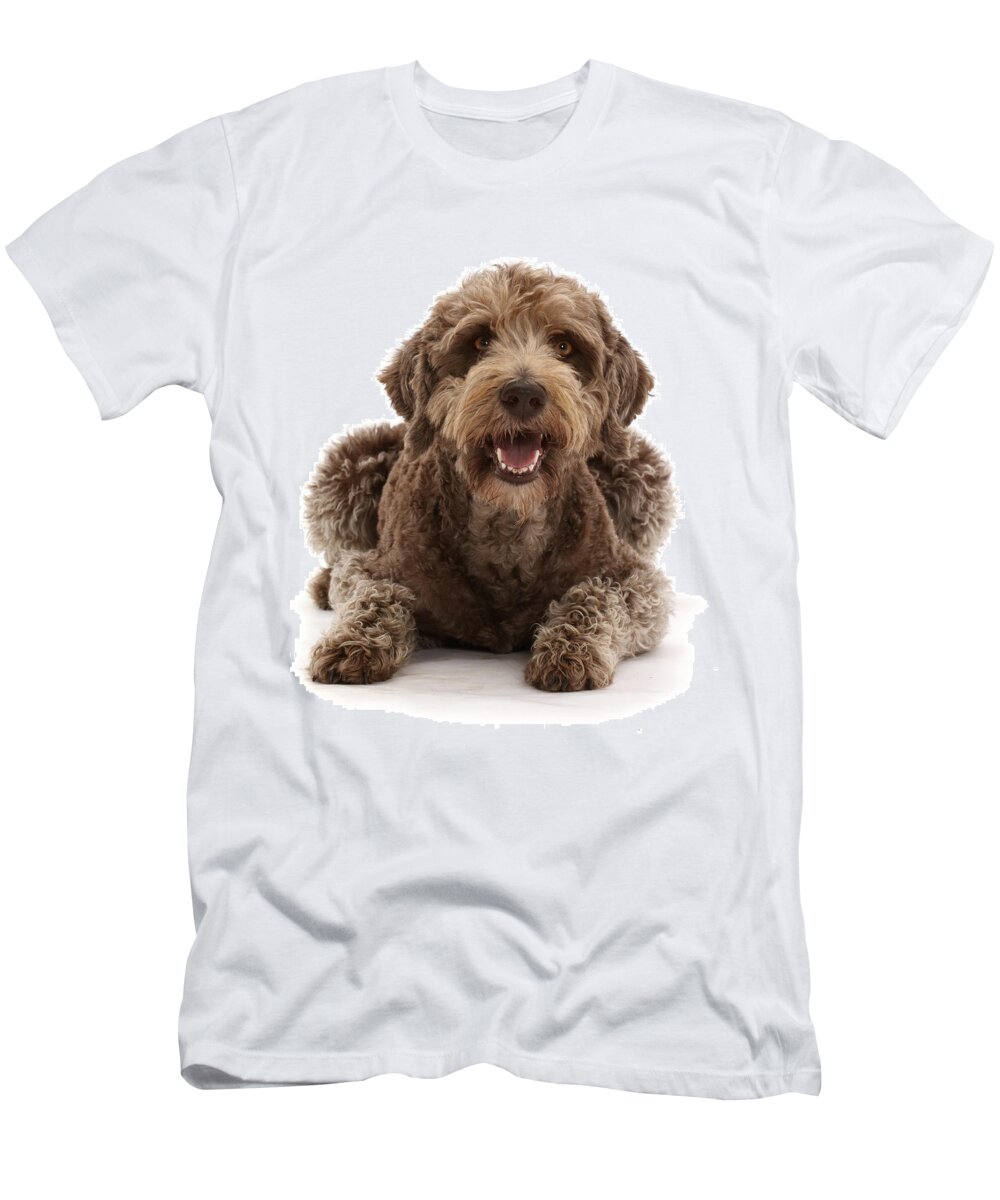 Animals T-Shirt featuring the photograph Labradoodle Lying With Head by Mark Taylor