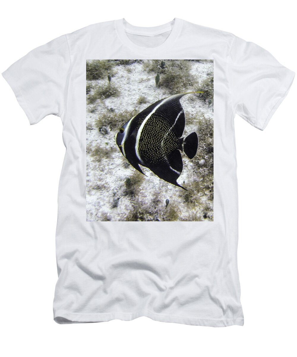 Fish T-Shirt featuring the photograph Left Turn by Lynne Browne