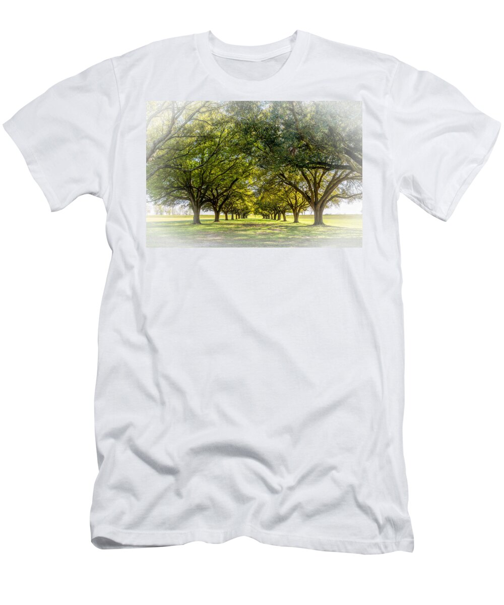 New Orleans T-Shirt featuring the photograph Live Oak Journey vignette by Steve Harrington