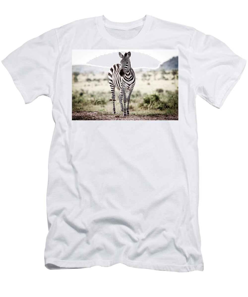 Africa T-Shirt featuring the photograph Lone Zebra by Mike Gaudaur