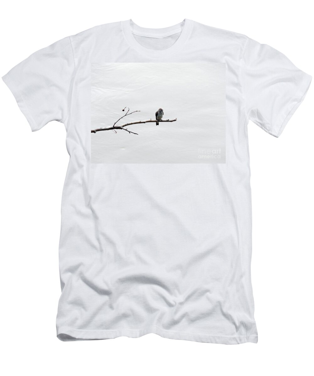 Names Of Birds T-Shirt featuring the photograph Lonesome by Skip Willits