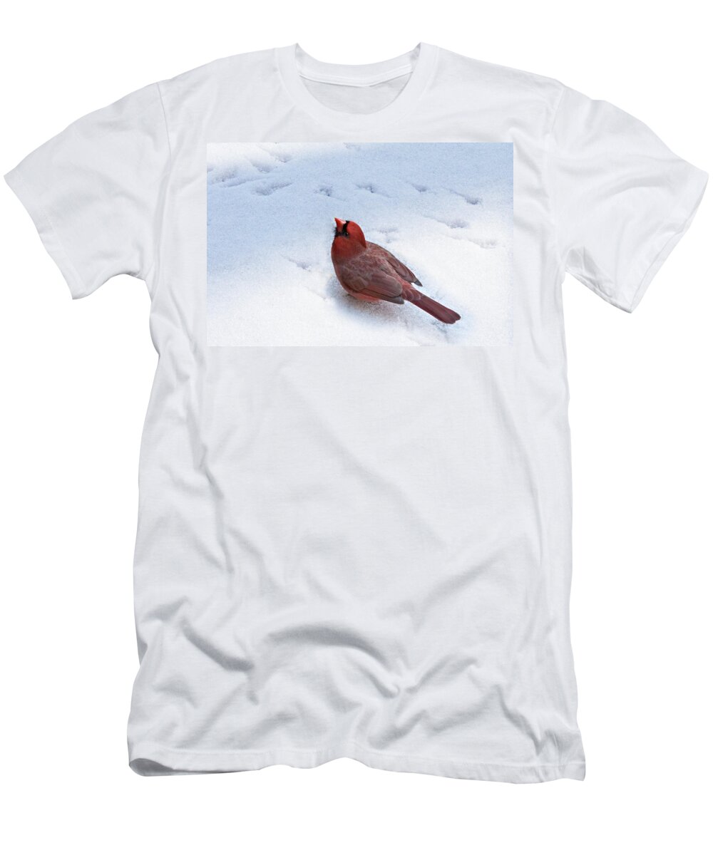 Looking Up T-Shirt featuring the photograph Looking Up by Jemmy Archer