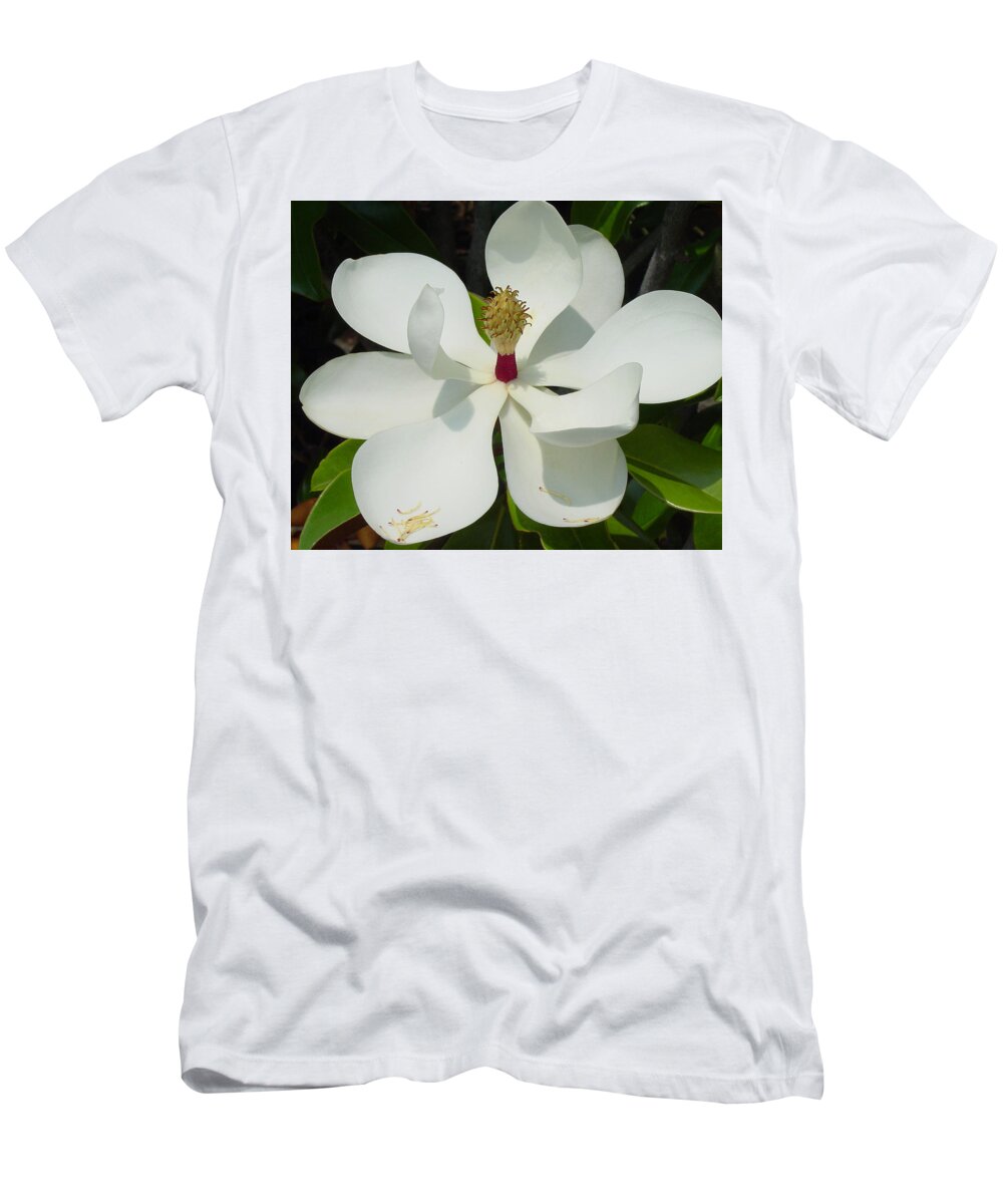 Magnolia Grandiflora T-Shirt featuring the photograph Magnolia II by Suzanne Gaff