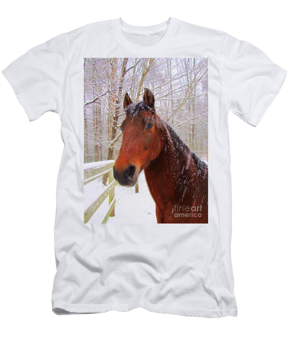 Morgan Horse T-Shirt featuring the photograph Majestic Morgan Horse by Elizabeth Dow