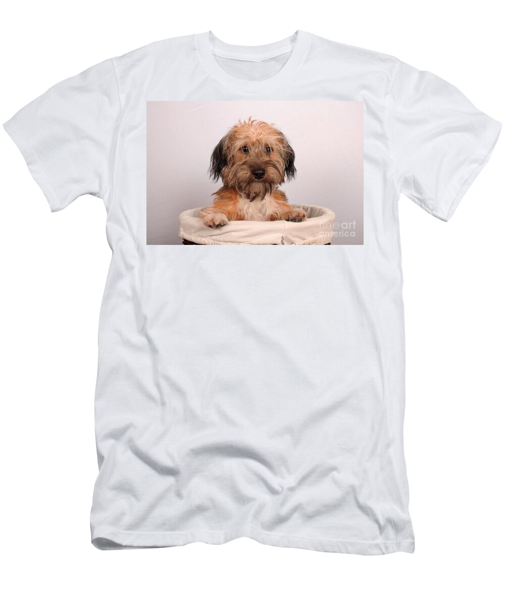 Dog T-Shirt featuring the photograph Max 2 by Randi Grace Nilsberg