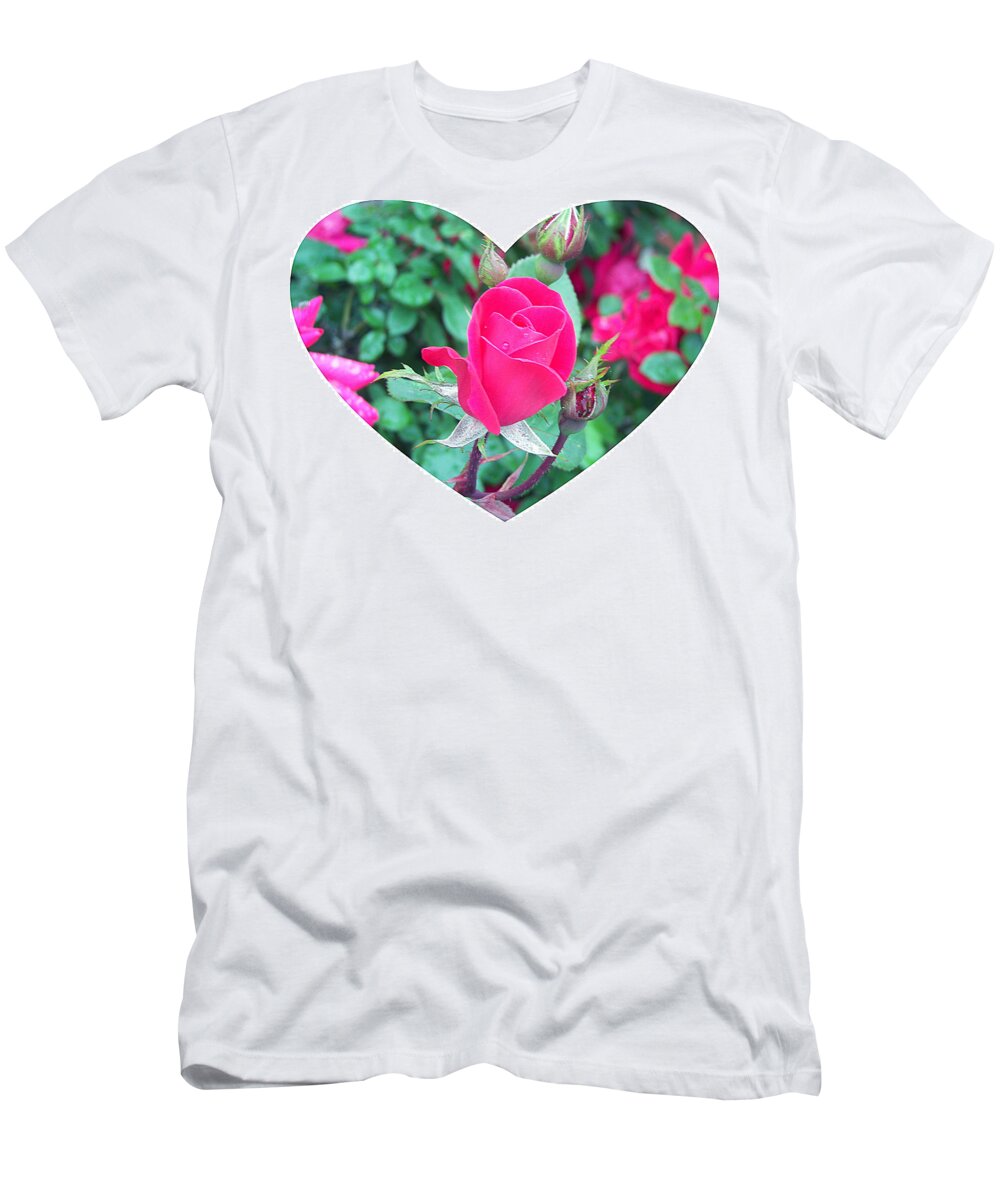 Rose T-Shirt featuring the photograph Memory of a Mother's Love by Pamela Hyde Wilson