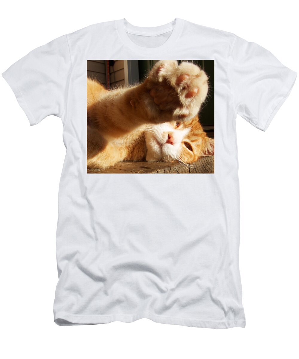 Animals T-Shirt featuring the photograph Tabby Paw by Mary Lee Dereske