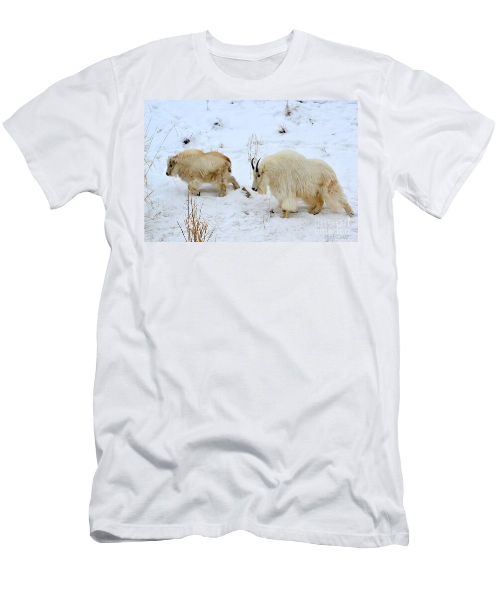 Mountain Goats T-Shirt featuring the photograph Mother and Child by Dorrene BrownButterfield