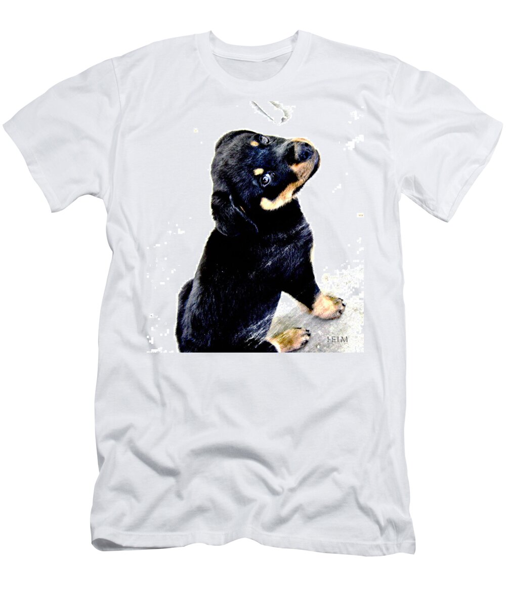  Dog Art Photographs T-Shirt featuring the photograph My Bone by Mayhem Mediums