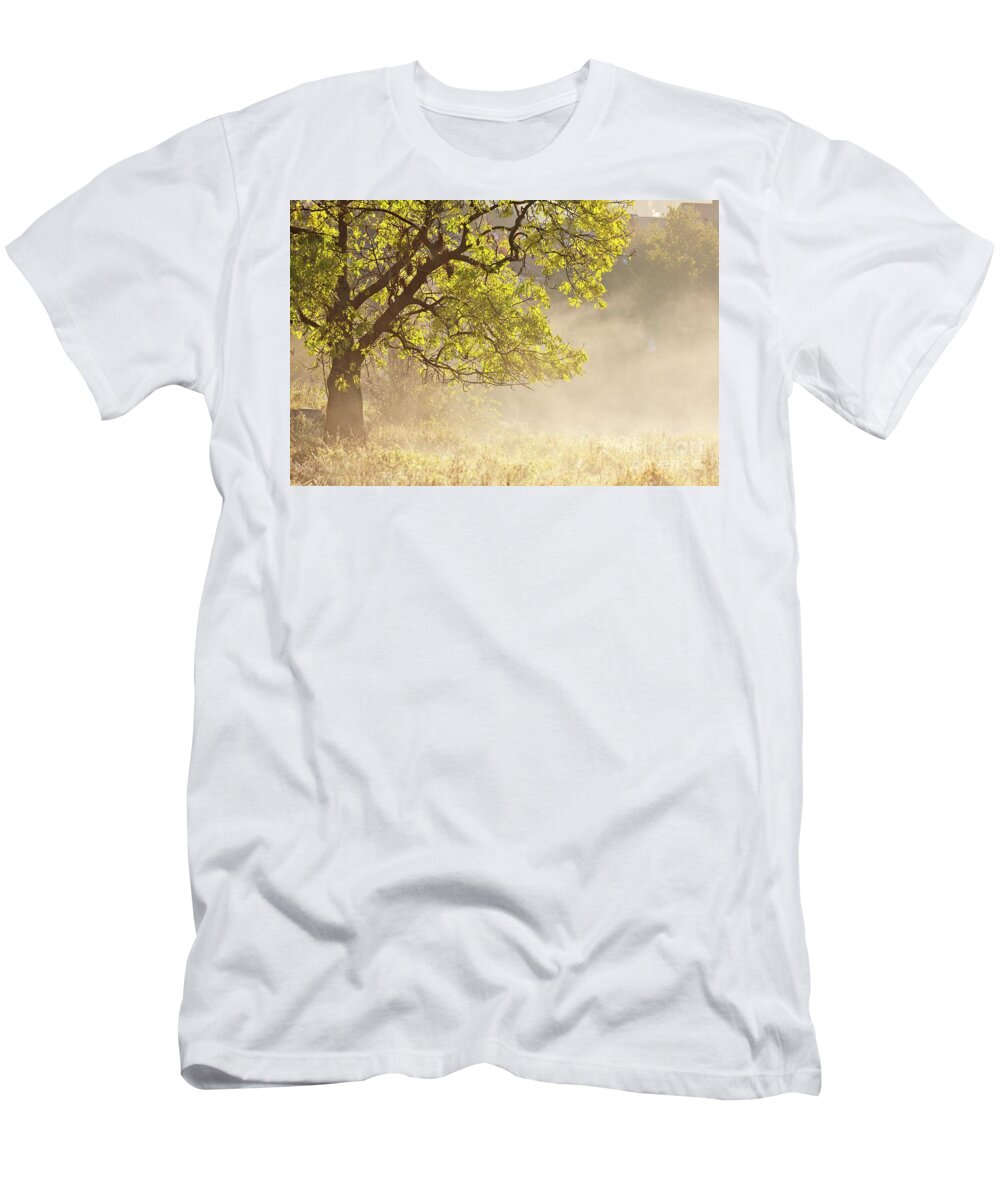 Tree T-Shirt featuring the photograph Nebulous tree by Heiko Koehrer-Wagner