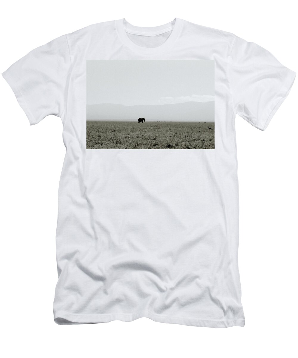Elephant T-Shirt featuring the photograph Ngorongoro Crater by Shaun Higson