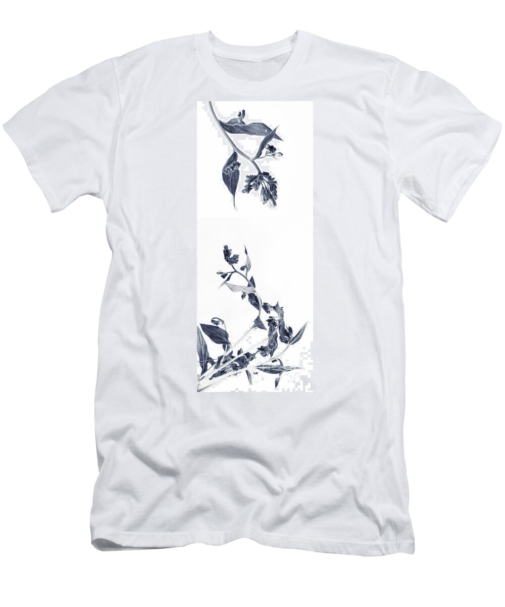 Accent T-Shirt featuring the photograph Northern Bluebells by Priska Wettstein