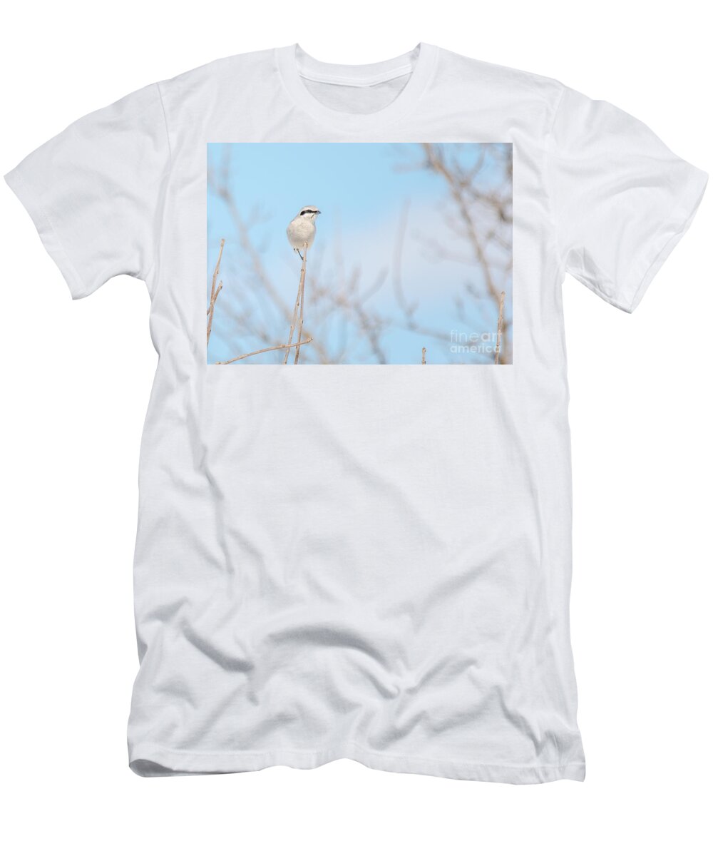 Fauna T-Shirt featuring the photograph Northern Shrike by Cheryl Baxter