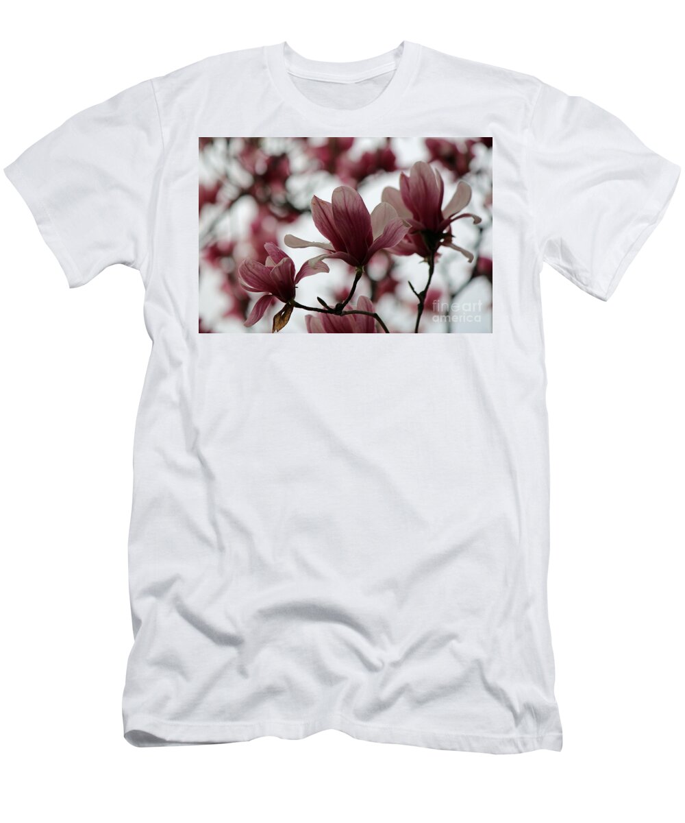 Flowering Tree T-Shirt featuring the photograph Oh Magnolia by Jamie Smith