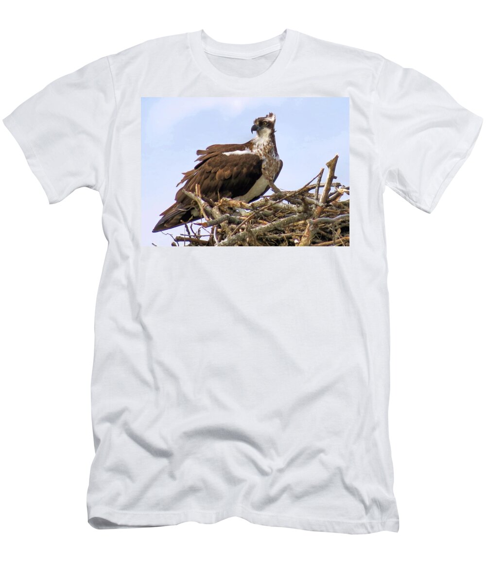 Birds T-Shirt featuring the photograph Osprey by Janice Drew