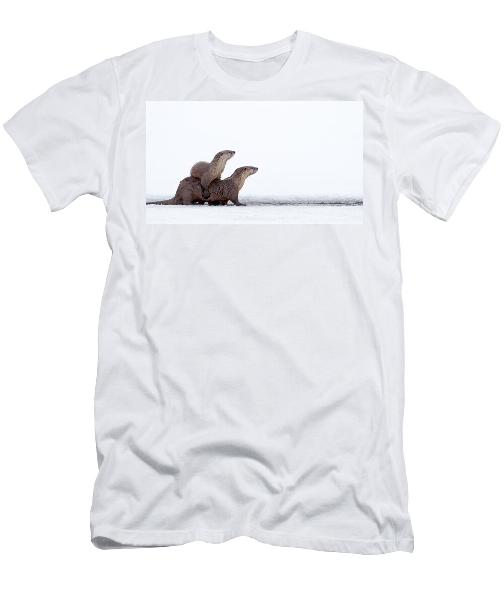 Otter T-Shirt featuring the photograph Otter Stepladder by Max Waugh
