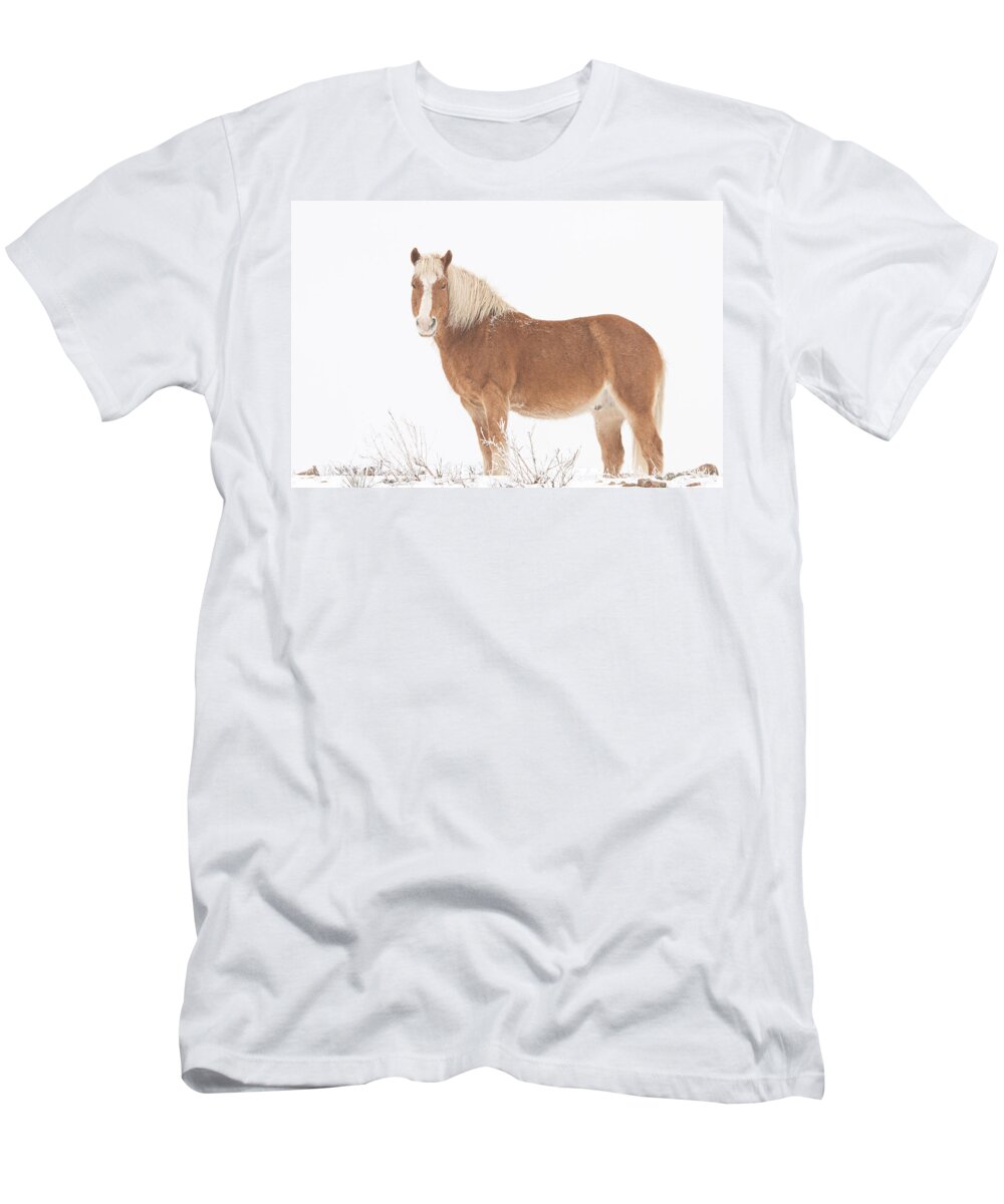 Palomino T-Shirt featuring the photograph Palomino Horse in the Snow by James BO Insogna