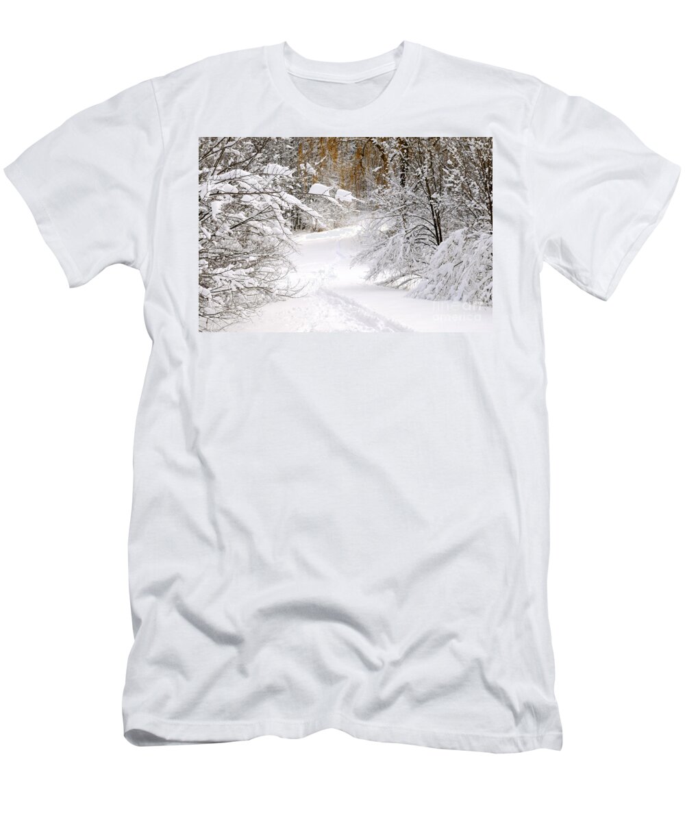 Winter T-Shirt featuring the photograph Path in winter forest 5 by Elena Elisseeva