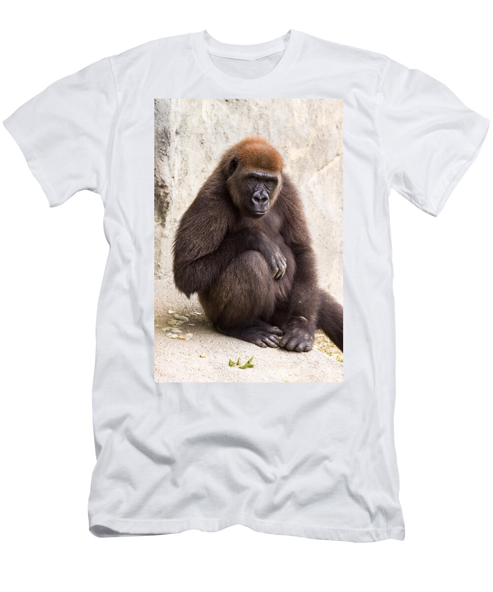 Africa T-Shirt featuring the photograph Pensive Gorilla by Raul Rodriguez