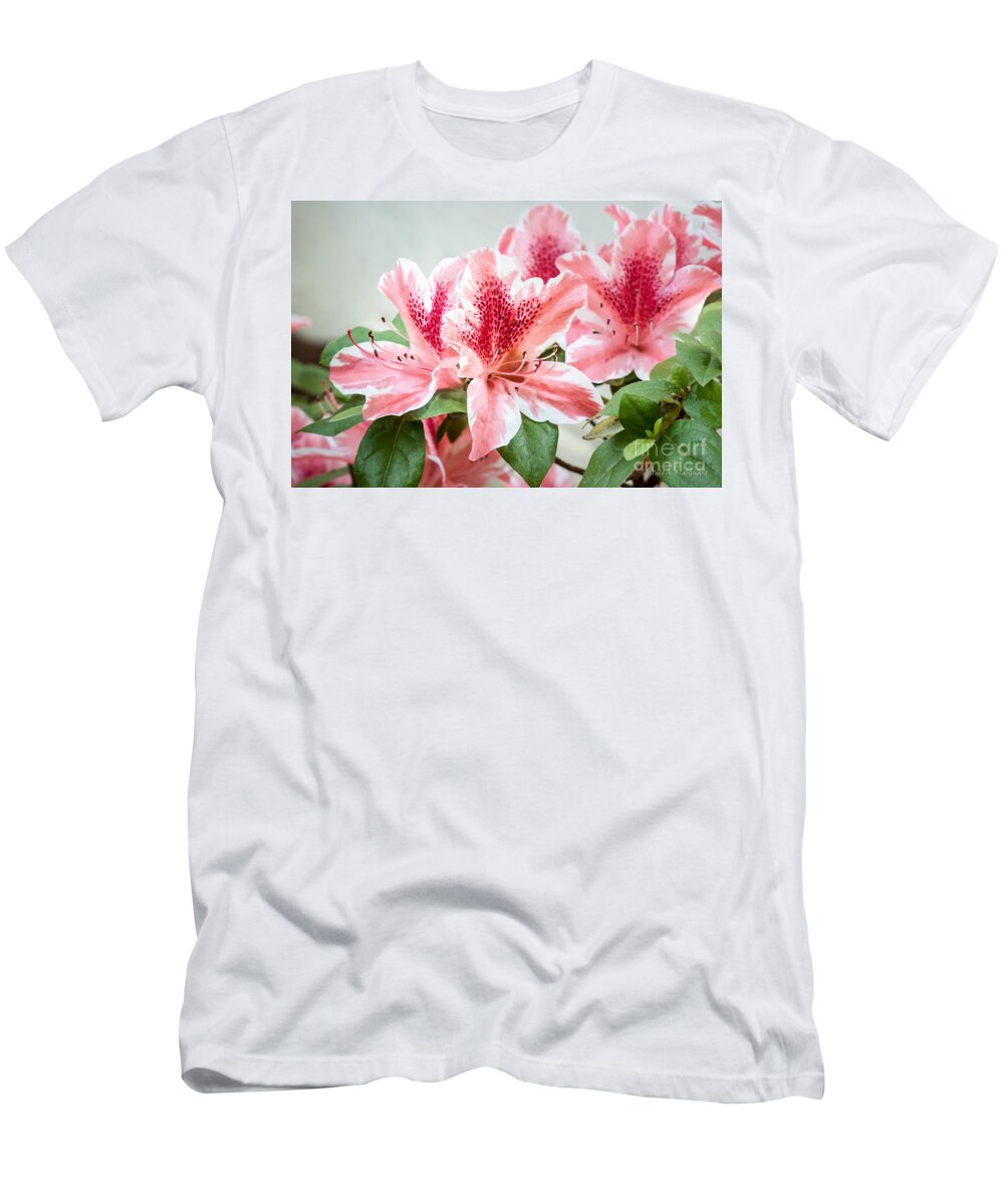 Flowers T-Shirt featuring the photograph Pink Azaleas by Todd Blanchard