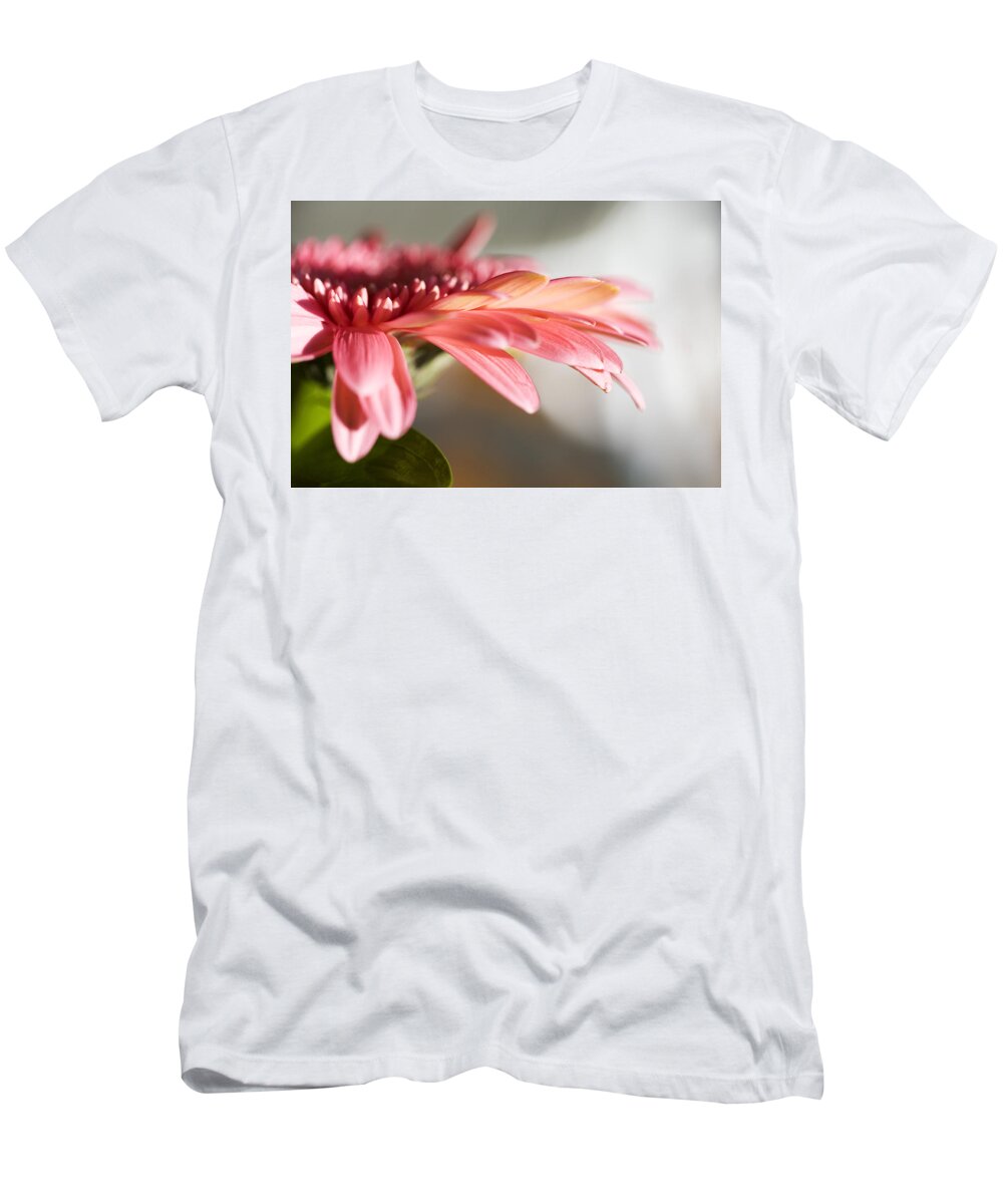 Pink T-Shirt featuring the photograph Pink Gerber Daisy by Marilyn Hunt
