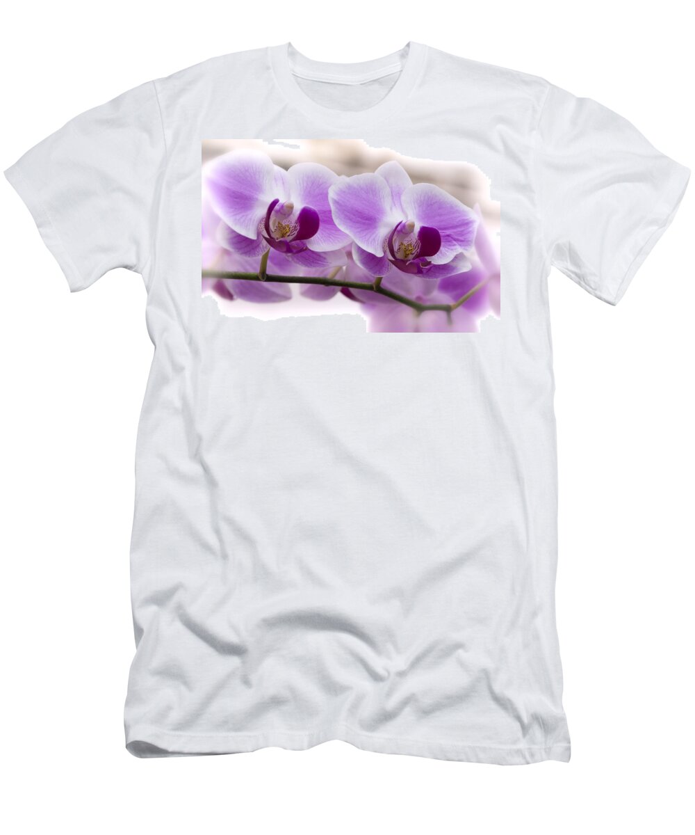 Pink Orchid T-Shirt featuring the photograph Pink Orchid by Saija Lehtonen