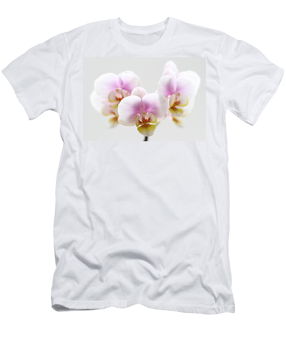 Orchid T-Shirt featuring the photograph Pink Sensation by Juergen Roth