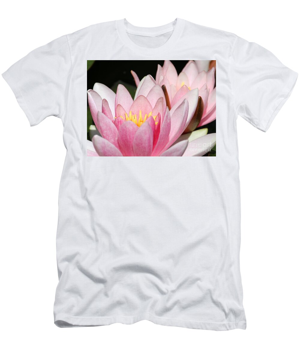 Lilies T-Shirt featuring the photograph Pink Water Lily by Amanda Mohler