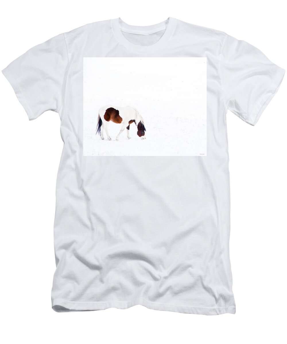 Small Horse T-Shirt featuring the photograph Pinto Pony by Theresa Tahara