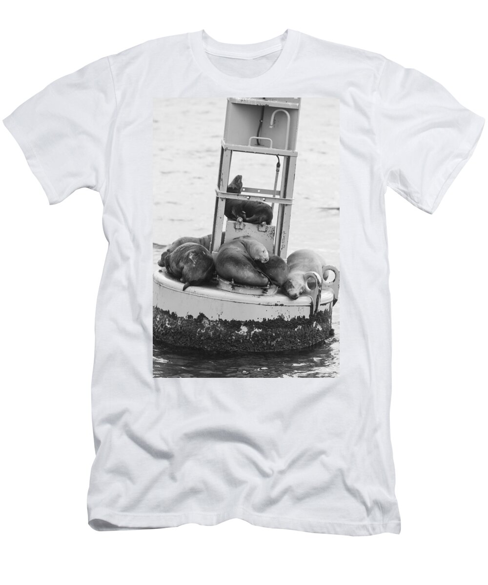 Seal T-Shirt featuring the photograph Pit Stop Black and White by Scott Campbell