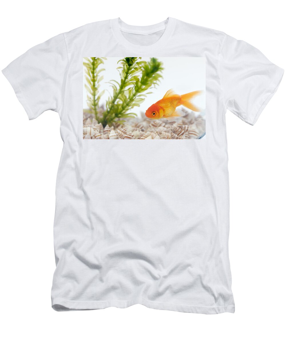 Anacharis T-Shirt featuring the photograph Plant-animal Interdependence by Martin Shields