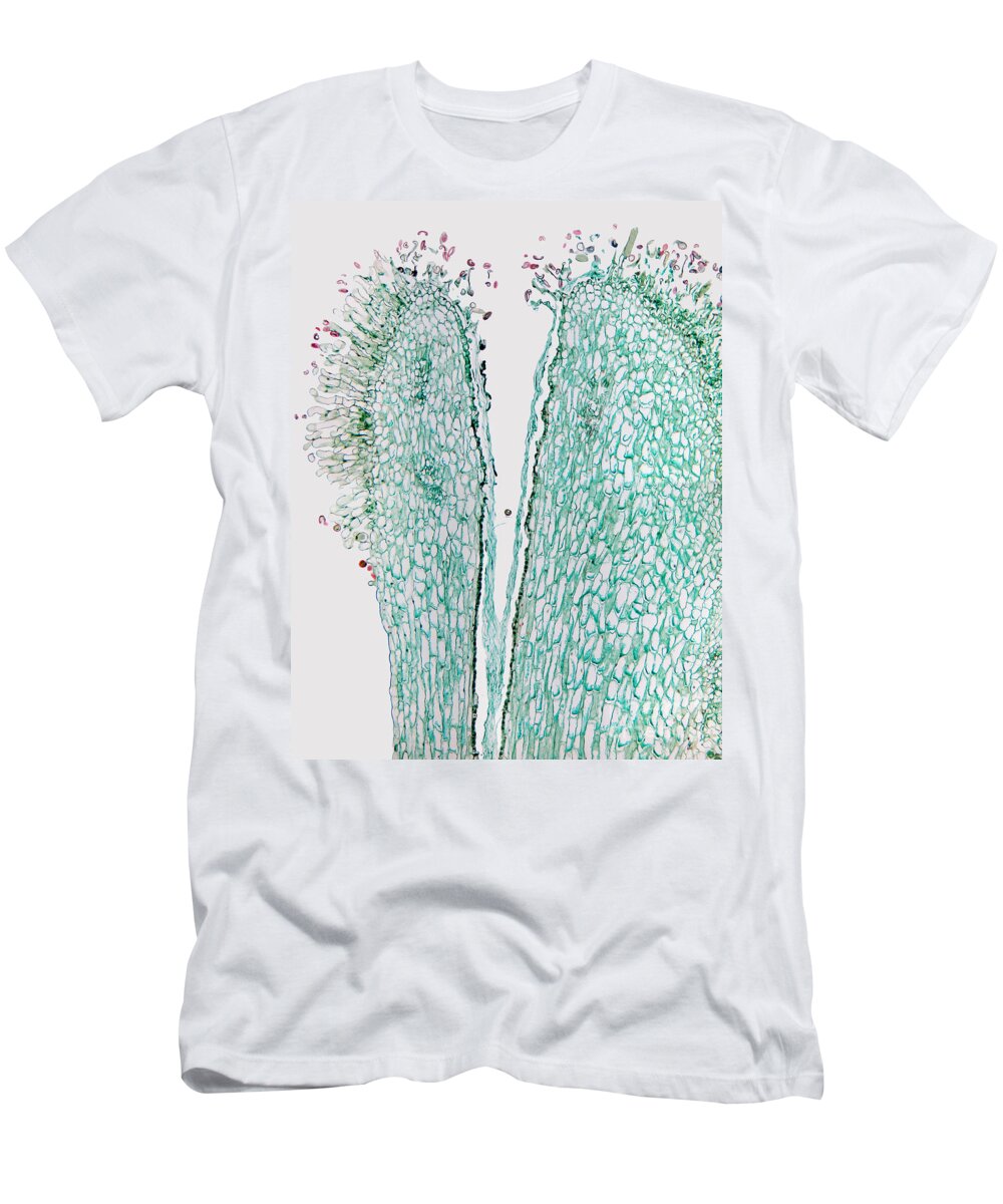 Pollen T-Shirt featuring the photograph Pollen On Lily Style, Lm by Garry DeLong