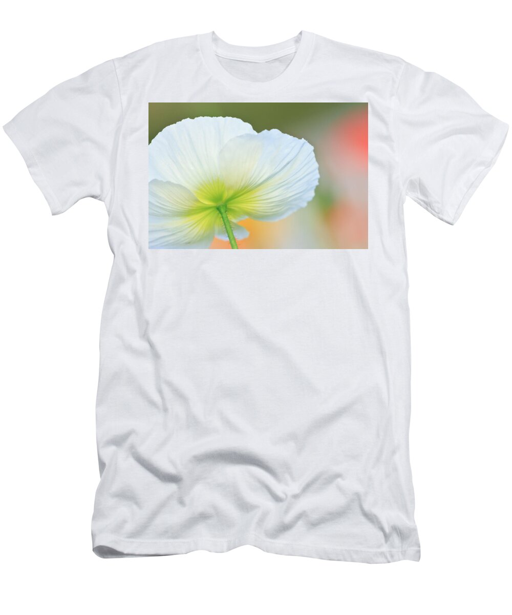 Poppy T-Shirt featuring the photograph Poppy by Ben Graham