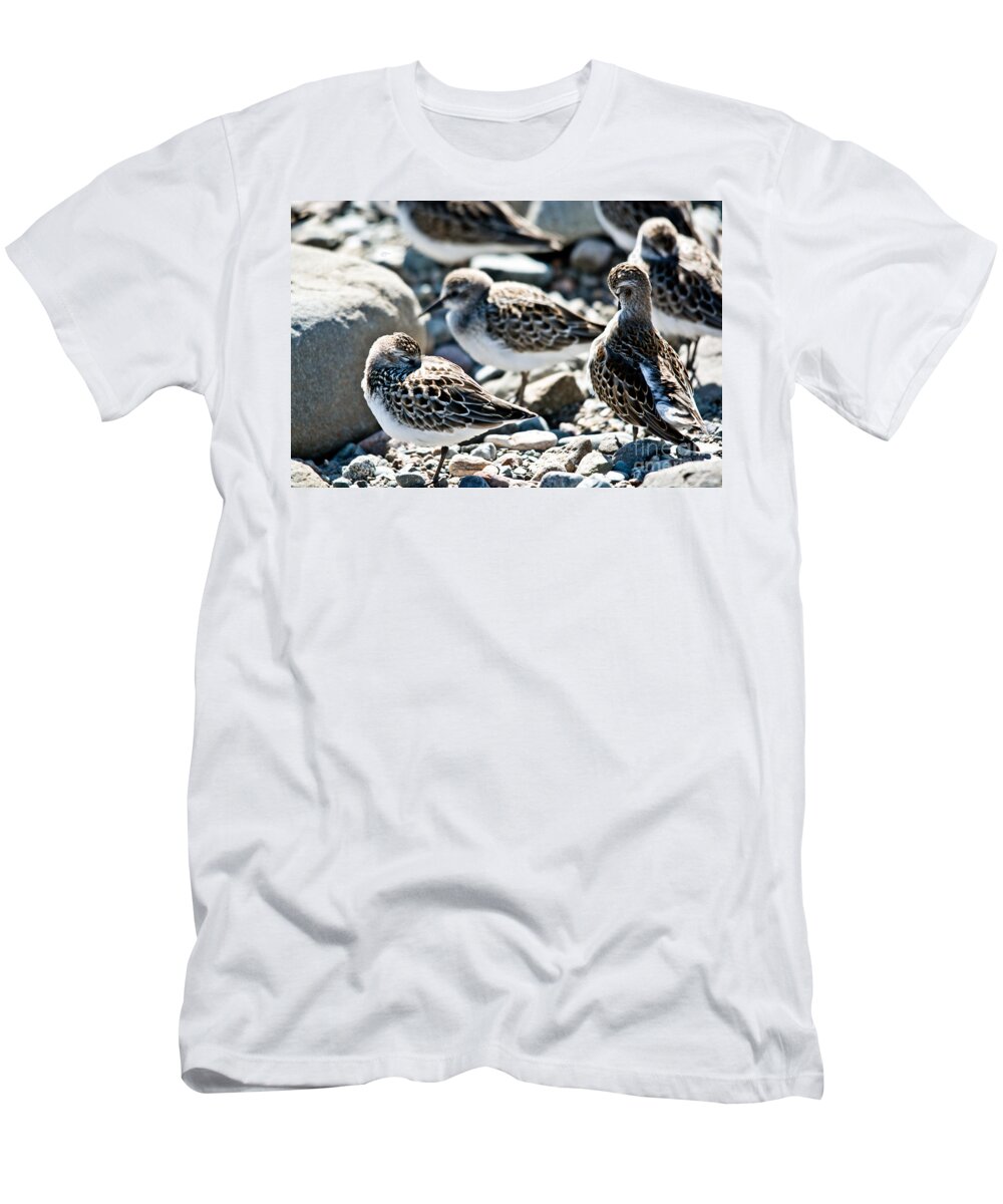  T-Shirt featuring the photograph Preening and Sleeping by Cheryl Baxter