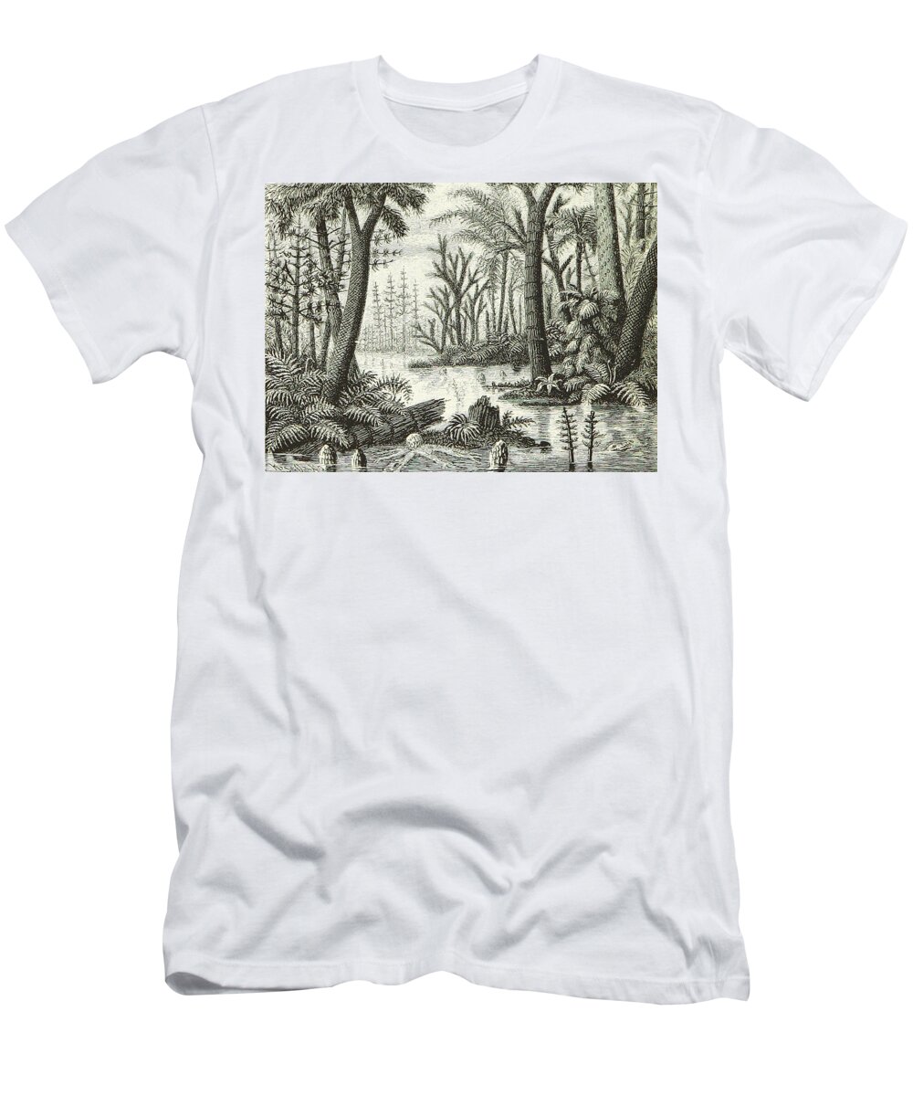 Historic T-Shirt featuring the photograph Prehistoric Flora, Carboniferous by British Library