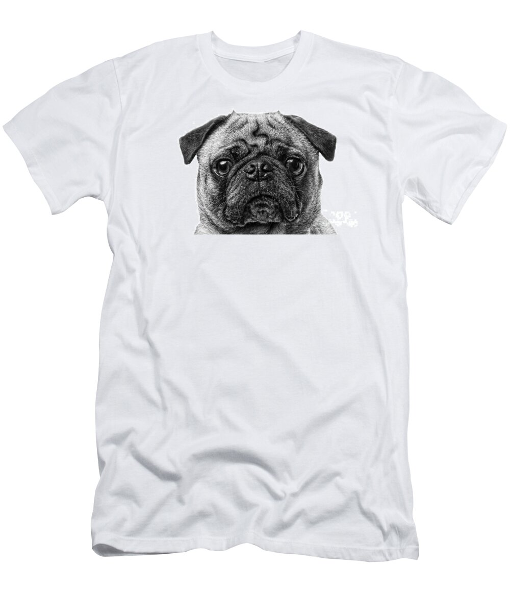 Animal T-Shirt featuring the photograph Pug Dog black and white by Edward Fielding