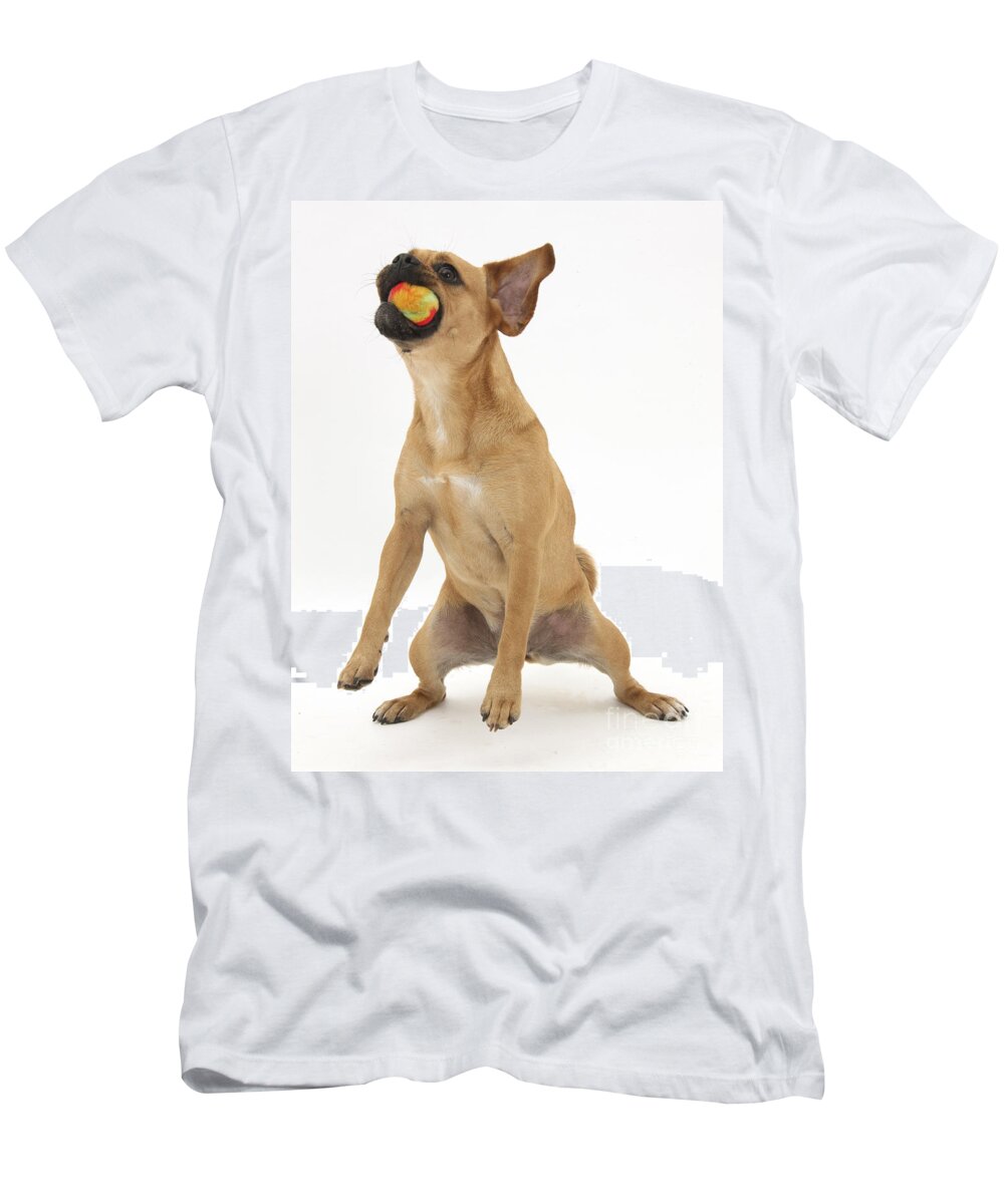 Puggle T-Shirt featuring the photograph Puggle Catching A Ball by Mark Taylor